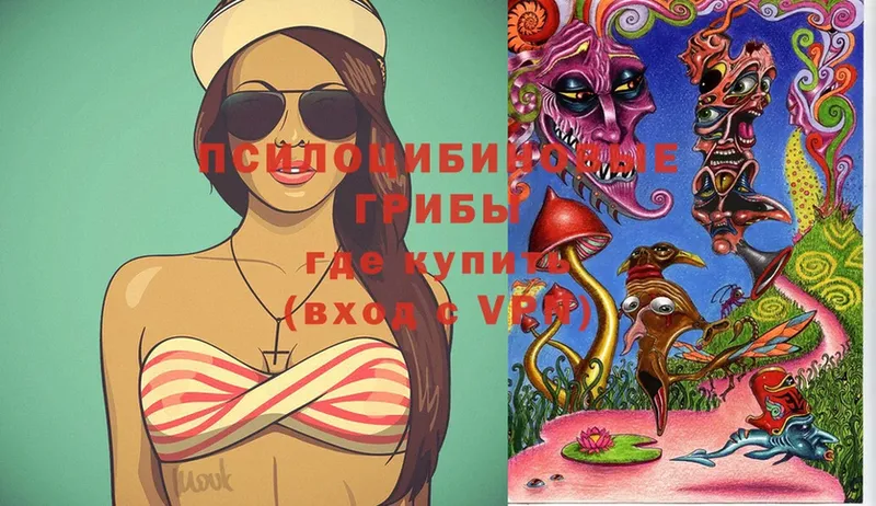 Галлюциногенные грибы Cubensis  Усть-Лабинск 